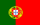 葡萄牙语.png